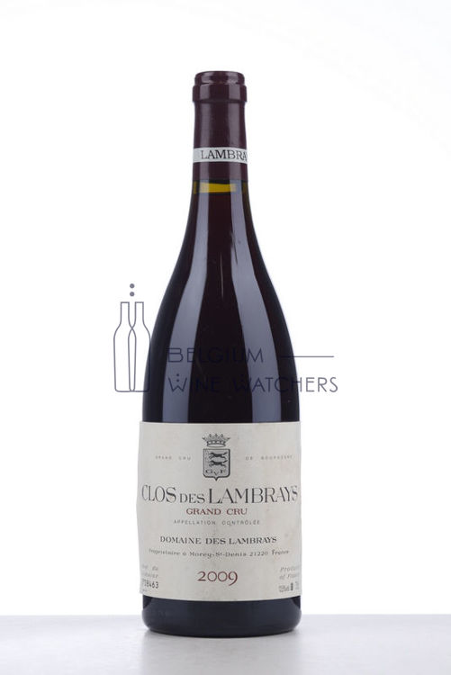 Picture of 2009 CLOS DES LAMBRAYS